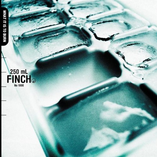 Finch - What it is to burn