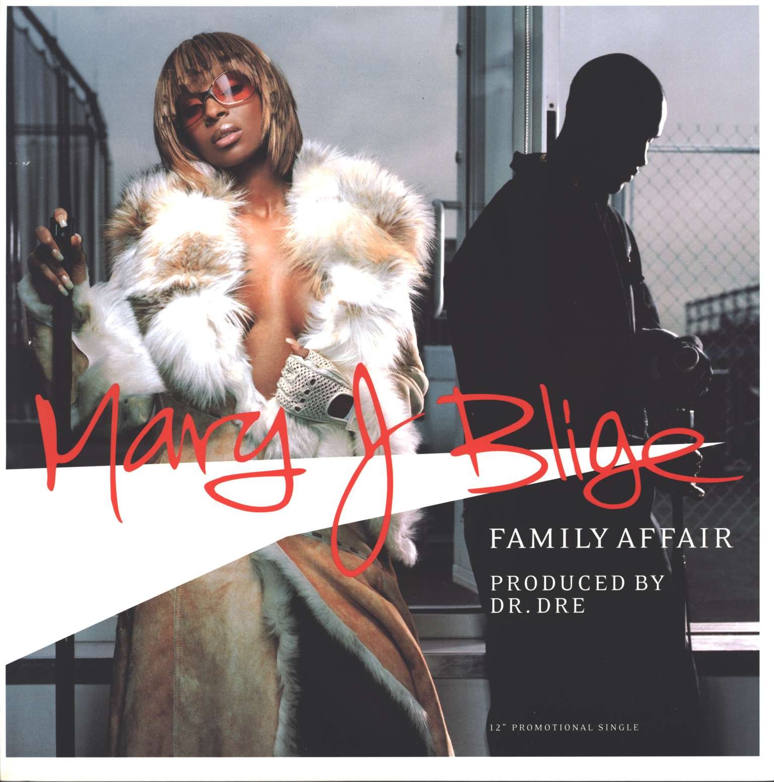 Blige, Mary J. - Family Affair [Vinyl LP]