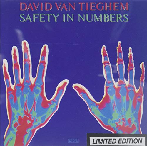 Van Tieghem , David - Safety In Numbers