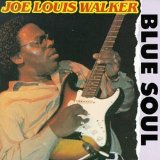 Vaughn , Maurice John - Generic Blues Album