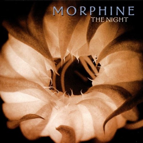 Morphine - The night