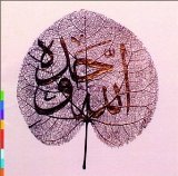 Sabri Brothers , The & Party - Qawwali Masterworks