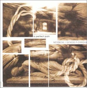 Merzbow - A Perfect Pain
