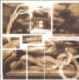 Merzbow - A Perfect Pain