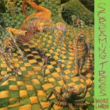 Screaming Trees - Uncle Anesthesia