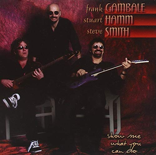 Gambale , Frank & Hamm , Stuart & Smith , Steve - Show Me What You Can