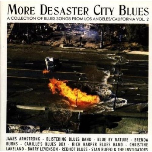 Sampler - More Desaster City Blues 2
