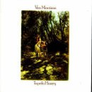 Morrison , Van - Tupelo Honey