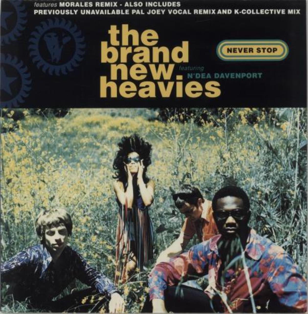 Brand New Heavies , The - Never Stop (Feat. N'Dea Davenport) (12'') (Maxi) (Vinyl)