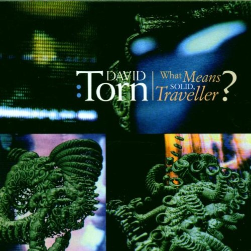 David Torn - What Means Solid,Traveller?