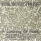 Bevis Frond , The - Example 22