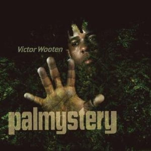 Wooten , Victor - Palmystery