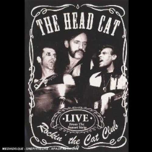  - Rockin' The Cat Club