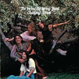 the Incredible String Band - Wee Tam & the Big Huge (Remastered)