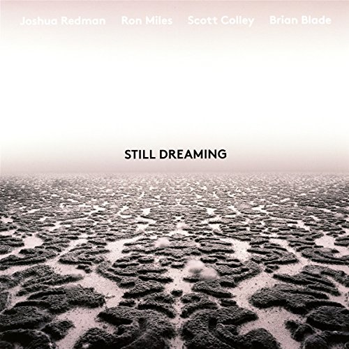  - Still Dreaming [Vinyl LP]