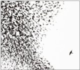 Wilco - The Album