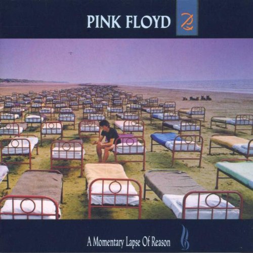 Pink Floyd - A momentary lapse of reason