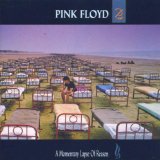 Pink Floyd - Delicate sound of thunder