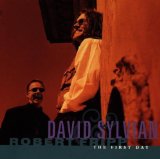David Sylvian - A Victim of Stars 1982-2012 (Standard Edition)