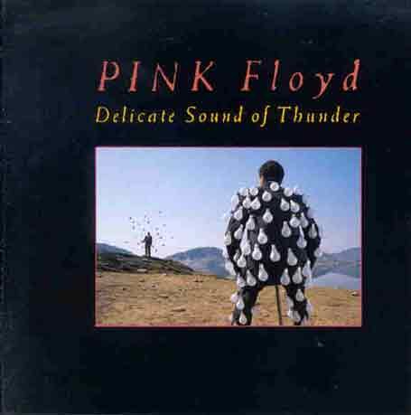 Pink Floyd - Delicate sound of thunder