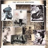 The Neville Brothers - Walkin'in the Shadow of Life