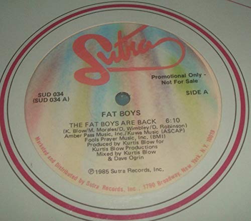 Fat Boys - Are back [Vinyl LP]
