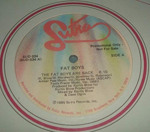 Fat Boys - Are back [Vinyl LP]