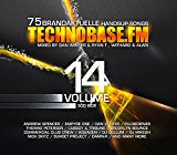 Various Artists - TechnoBase.FM Vol. 15