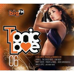 Various - bigFM Tronic Love Vol. 6