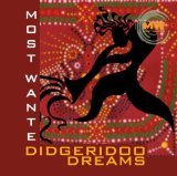 Sampler - Didgeridoo Dreaming