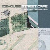 Icehouse - Great southern land