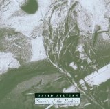 Sylvian , David - Dead bees on a cake