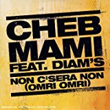 Cheb Mami - Du sud au nord