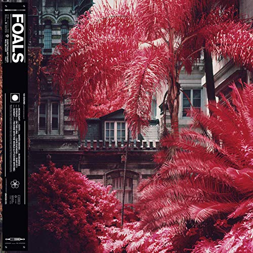 Foals - Everything Not Saved Will Be Lost Part 1 (Vinyl)