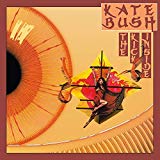 Bush , Kate - Never for ever