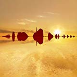 Kate Bush - Remastered in Vinyl IV [Vinyl LP]