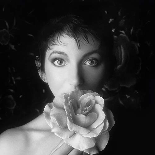 Kate Bush - Remastered in Vinyl II [Vinyl LP]