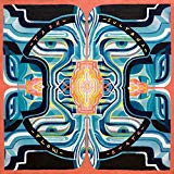 Tash Sultana - Notion