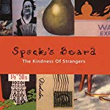 Spock's Beard - The Light