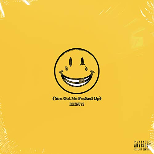 Deez Nuts - Deez Nuts - You Got Me Fucked Up (black LP+CD) [Vinyl LP]