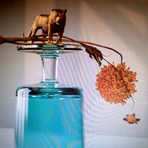 Beirut - Gallipoli (Vinyl)