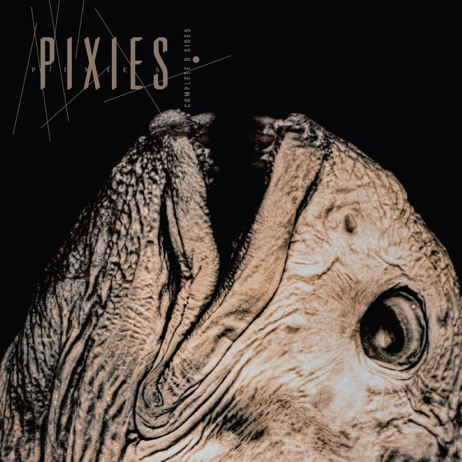 Pixies - Complete B-Sides 1988 - 1997 (Vinyl)
