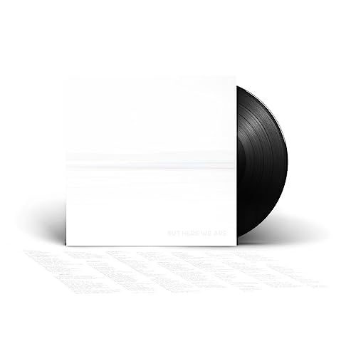 Foo Fighters - But Here We Are (Vinyl)