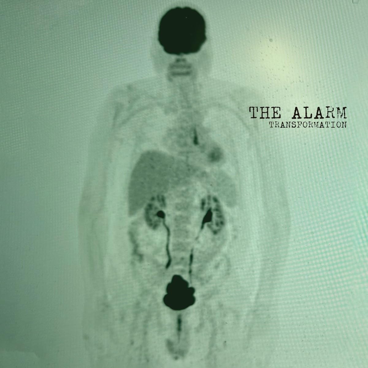 Alarm , The - Transformation