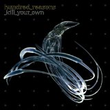 Hundred Reasons - Ideas above our station