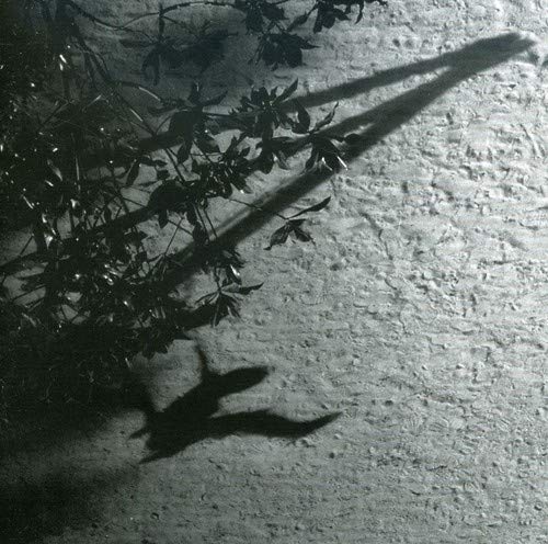 Richter,Max - The Blue Notebooks