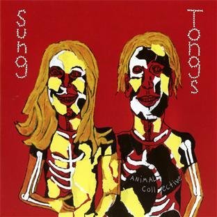 Animal Collective - Sung Tongs