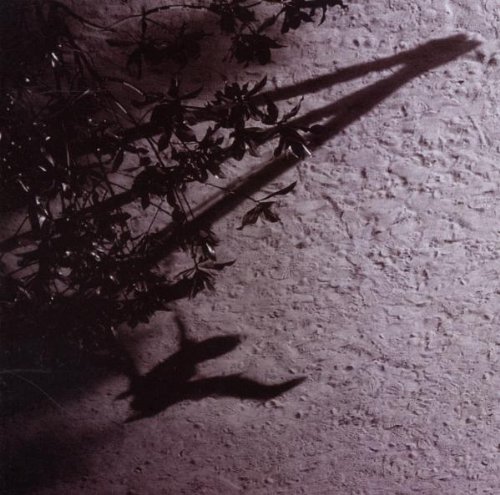 Richter , Max - The Blue Notebooks
