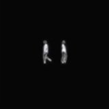 Richter , Max - Infra