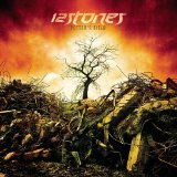  - 12 Stones